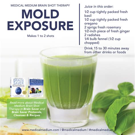 Mold Exposure