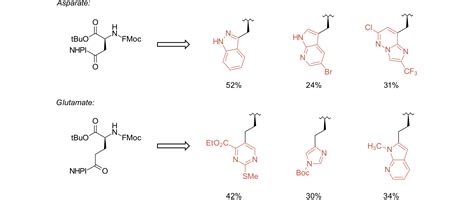 Highlights In Synthesis Unnatural Amino Acids BioAscent