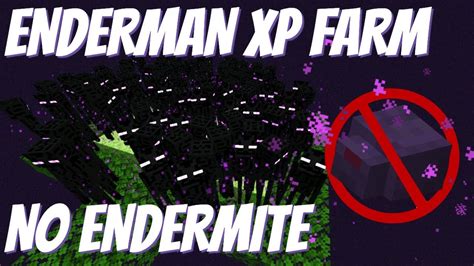 Ender Ender Farm Xp Farm Tutorial No Endermite Needed Minecraft Endermen Farm 1 14 4 And 1 15