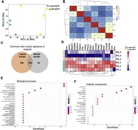 Spatial Proteomics In Three Dimensional Intact Specimens Cell