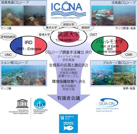 自然の海洋酸性化海域を利用した海洋生態系の将来予測 海洋政策研究所 Oceannewsletter 笹川平和財団 The