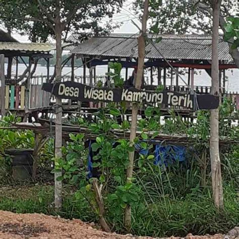 Foto Artikel Desa Wisata Kampung Terih Lestarikan Mangrove Dan