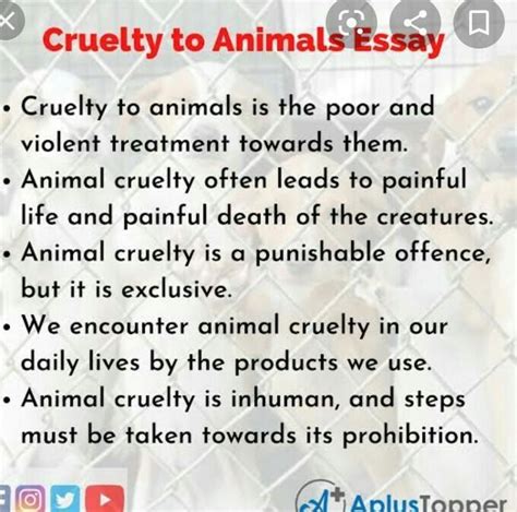 Write An Essay On Cruelty On Animals