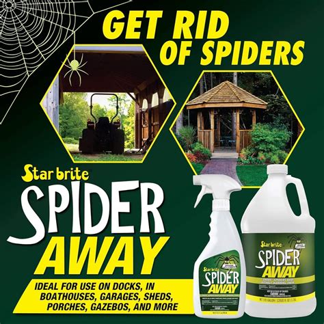 8 Best Spider Spray For House 2023 Hummingbirds Plus