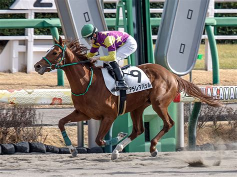 【3歳1勝クラス中山7rレース後コメント】アラレタバシル野中悠太郎騎手ら 競馬ニュース Netkeiba