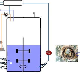 Scheme Of A Bioreactor Used In Biofilm Fermentation And Illustration Of