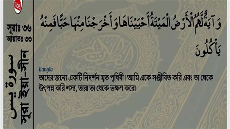 Quran 36 Surah Ya Sin Ya Sin Arabic Bengali Or Bangla Translation