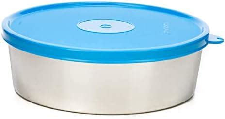 Buy Signoraware Smart N Slim Steel Ml Container Set Of Blue