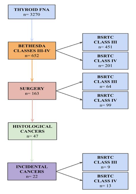 Flowchart For The Selection Of Patients Fna Fine Needle Aspiration