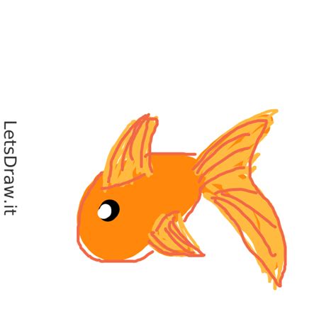 How To Draw Gold Fish W5o4fken Png LetsDrawIt