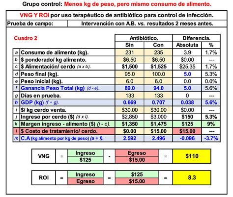 El Retorno De Inversión Roi Y El Valor Neto De Ganancia Vng