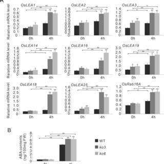 Ospp Modulates The Expression Of Genes Involved In Aba Signaling And