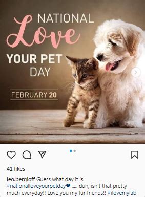 78 Furry Instagram Captions For National Pet Day 2024 Starter