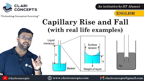 Capillary Rise And Fall Explained With Real Life Example English