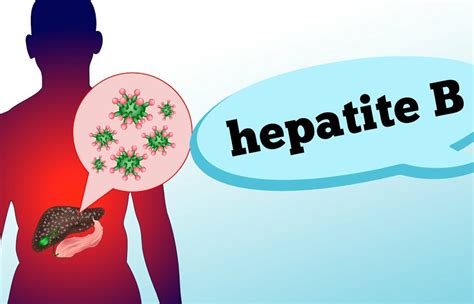 HEPATITE B sintomas fases contaminação e prevenção Brasil 61