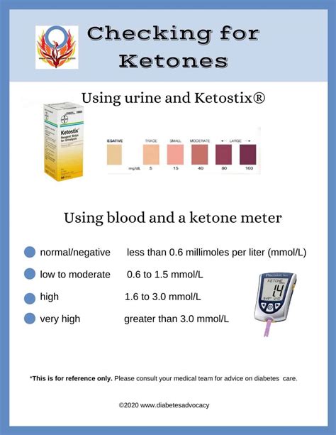 What You Should Know About Ketones