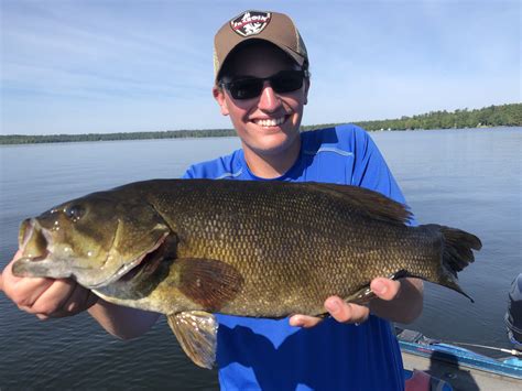 Wisconsin Bass Fishing Guide Key Insights To Monster Bass