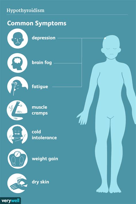 Thyroid Disease Symptoms Common And Rare