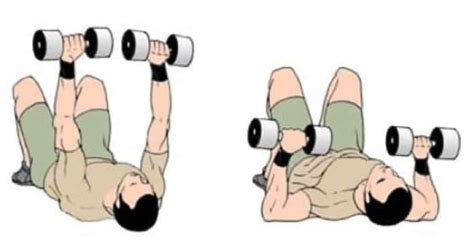 Workout Wednesdays Chest Exercises Part 1 Oncolink Cancer Blogs