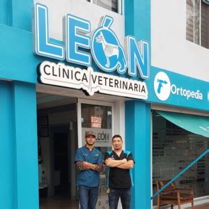 Le N Cl Nica Veterinaria Veterinary Clinic In Rosarito