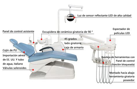 acuerdo pirámide agitación partes del sillon dental y sus funciones