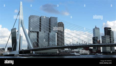 The Erasmus Bridge in Rotterdam, the Netherlands. The bridge stands by ...