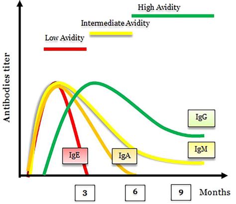 The Important Role Of Laboratories In The Diagnosis And Prevention Of