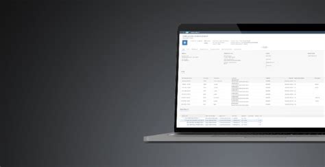 Sap Corporate Serialization Unique Identification Technology