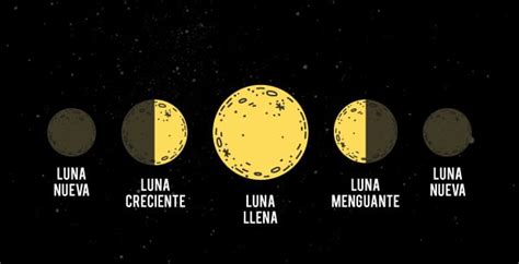 Calendario lunar cannábico 2023 Aprende a usarlo fácilmente