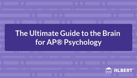 Brain Ultimate Guide To The Brain For Ap Psychology