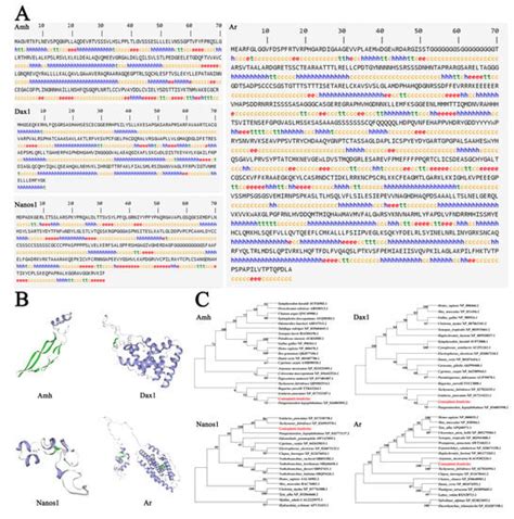 Ijms Free Full Text Gonadal Transcriptome Analysis And Sequence