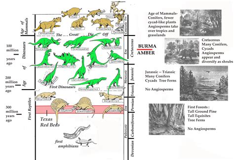 Cretaceous Period Plants