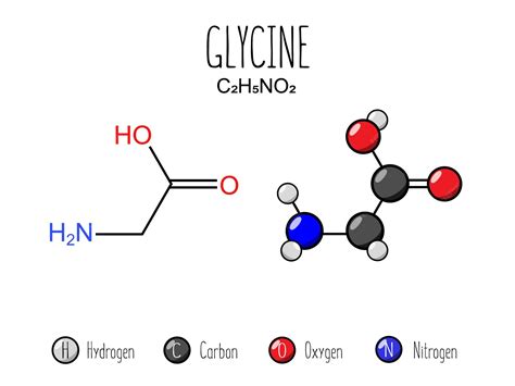premium vector glycine amino acid representation