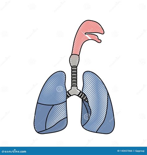 Windpipe Cartoons Illustrations And Vector Stock Images 1261 Pictures