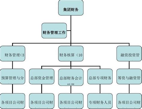 财务体系模式及组织架构方案设计丰富版文档之家