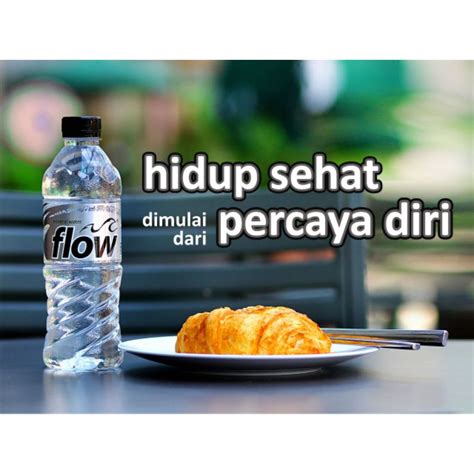 Jual Air Minum Flow 500ml Shopee Indonesia