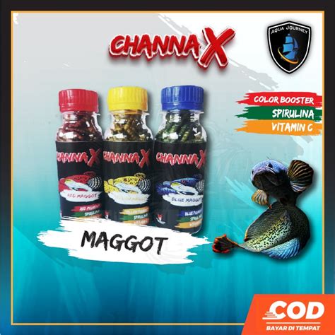 Jual Maggot Channa Color Booster Pakan Channa Premium Red Blue Yellow