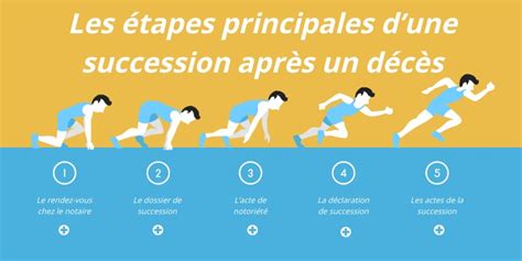 Les Principales étapes Dune Succession