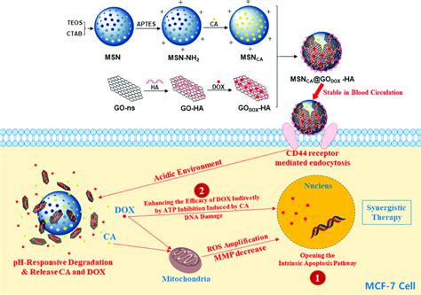 Scheme 1 Illustration Of The Preparation Dual Drugs Loading