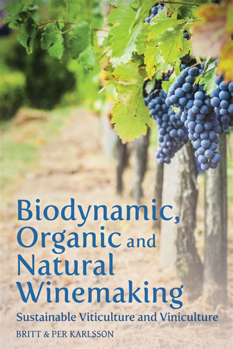 Biodynamic Organic And Natural Winemaking Sustainable Viticulture