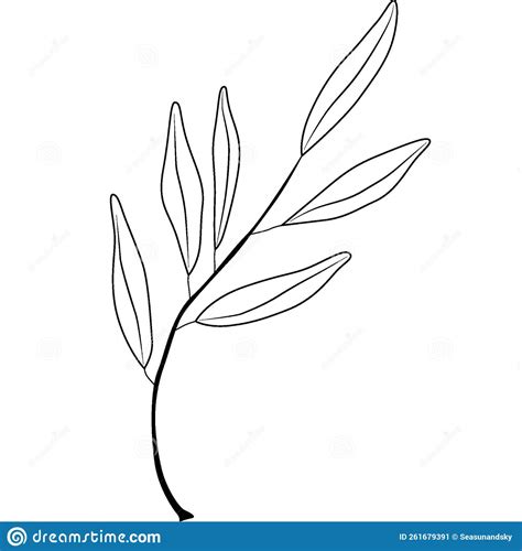 Hand Drawn Olive Tree Branch Outline Olive Branch Stock Illustration