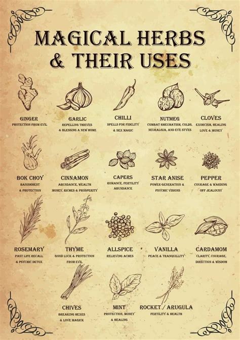 Magical Herbs Poster Hedge Witch Garden Witch Magickal Herbs Poster