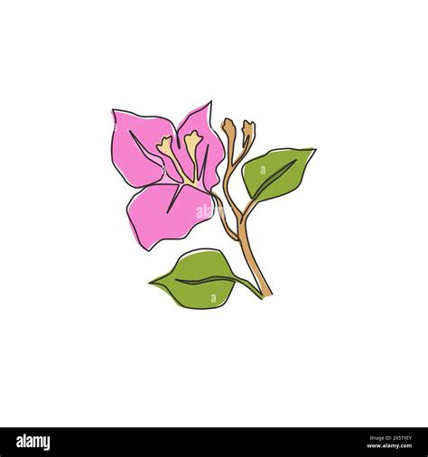 One Continuous Line Drawing Of Beauty Fresh Bougainville For Home Wall