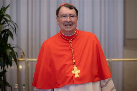 Voici Ce Que Les Nouveaux Cardinaux De L Glise Pensent Du Synode Sur