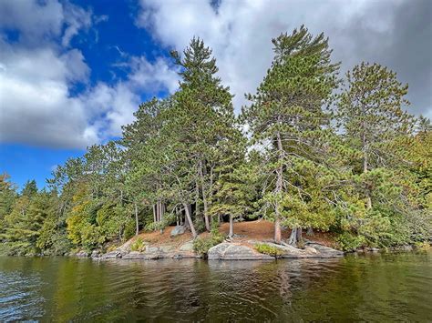 Whitefish Lake Campsite #2 in Algonquin Park | Campsite Report