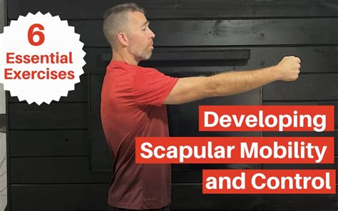 Exercises Progressions For Scapular Control My Rehab Connection