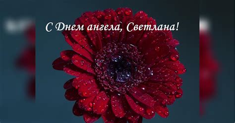 Красивые открытки и поздравления с Днем ангела Светланы - «ФАКТИ»