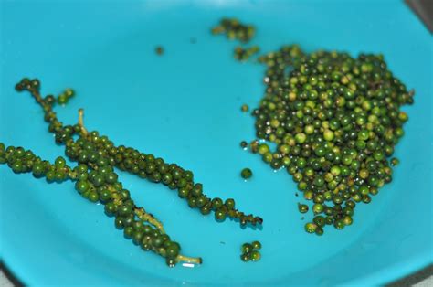 green peppercorn - Recipes 'R' Simple