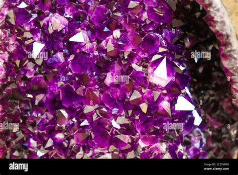 Amethyst Purple Crystal Mineral Crystals In The Natural Environment