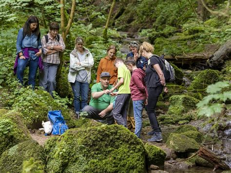 Den Naturpark Beim Aktions Wochenende Der Schwarzwald Guides Erleben